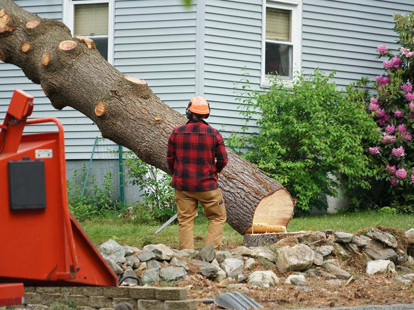 emergency-tree-removal-excelsior-chanhassen-minneapolis-mn-h-m